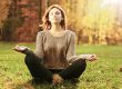 HART Holistic support meditate