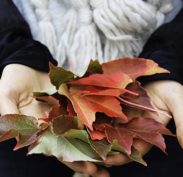 Hart Holistic Support Philosophy Release Hart Holistic Support Philosophy Release leaves hands